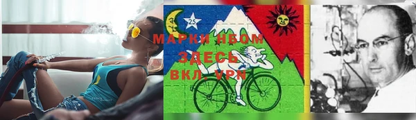 дурь Алексин