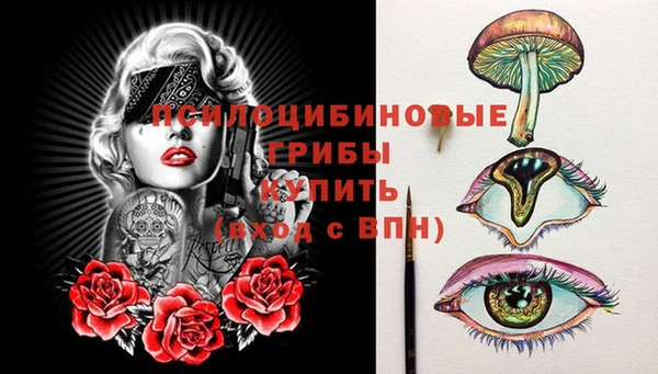 дурь Алексин