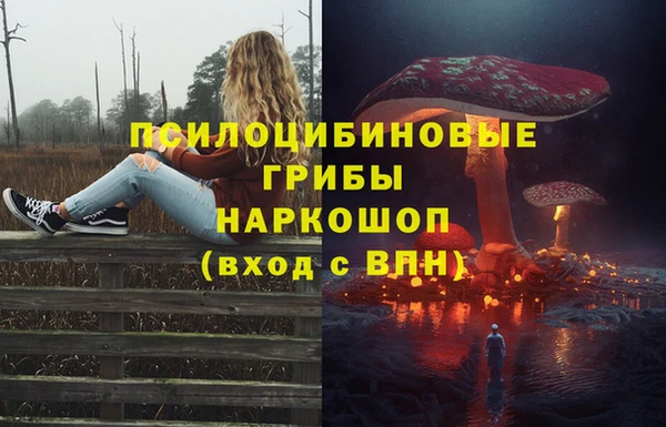 круглые Алзамай