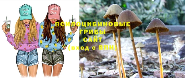 круглые Алзамай