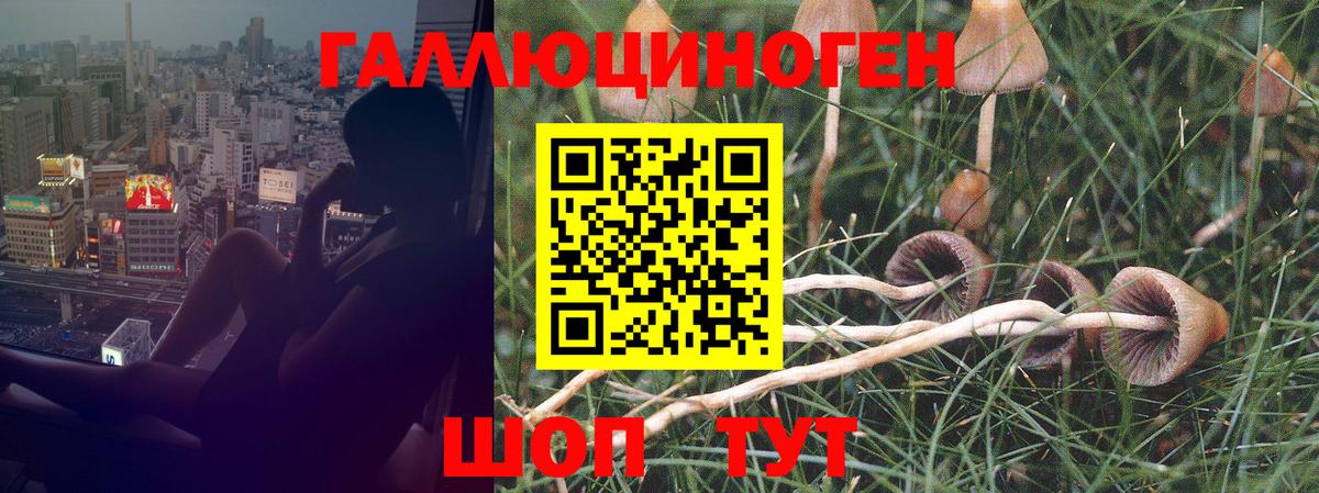 Псилоцибиновые грибы MAGIC MUSHROOMS  Галлюциногенные грибы MAGIC MUSHROOMS  Вход с VPN  Алушта 