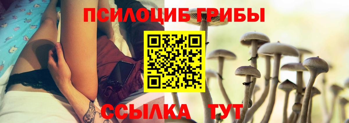 Псилоцибиновые грибы GOLDEN TEACHER Алушта